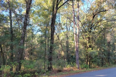 LOT 53 SW 57th Place, Dunnellon, FL 34432 - photo 3