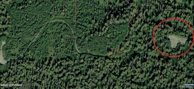 B2 L1 S Bald Mountain Asls 82-1, Talkeetna, AK 99676 - photo 7