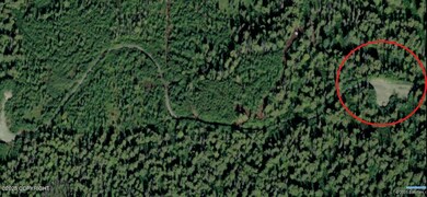 L1 B2 S Bald Mountain Asls 82-1, Talkeetna, AK 99676 - photo 7