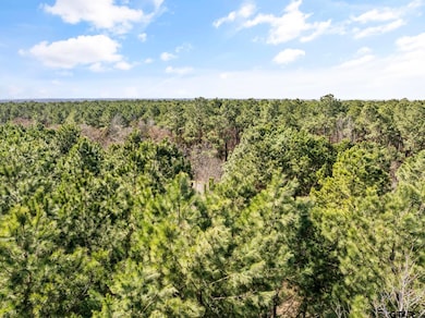 Lot 1 Fm 556, Pittsburg, TX 75686 - photo 3