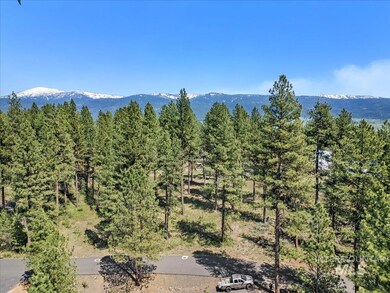 View of mountain background with a heavily wooded area