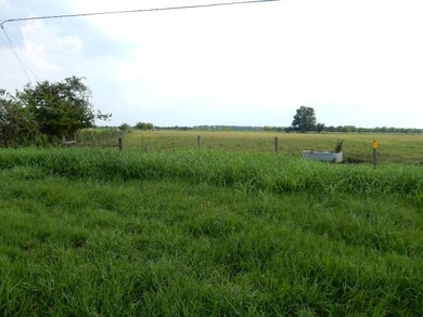 0 Cr 181 (Rm Cole Rd), Bay City, TX 77414 - photo 3