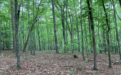 Additional View