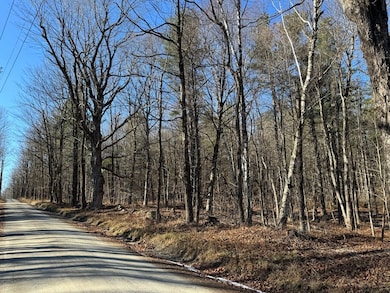 0 E Hawley Rd unit 73456358, Charlemont, MA 01339 - photo 4