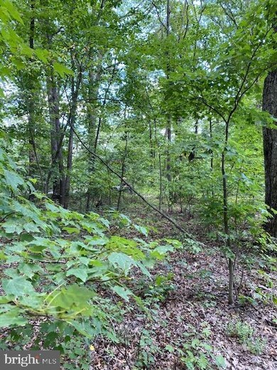 34R & 37R Arrowhead Rd, Front Royal, VA 22630 - photo 3