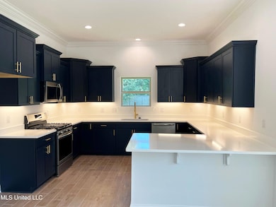 12158 Parc Aux Chenes, Gulfport, MS 39503 - photo 2