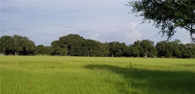 0 Sutton Oaks Ln unit T3155595, Zephyrhills, FL 33541 - photo 2