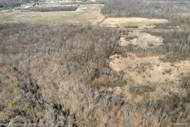 00 Griswold Rd, Smiths Creek, MI 48074 - photo 5