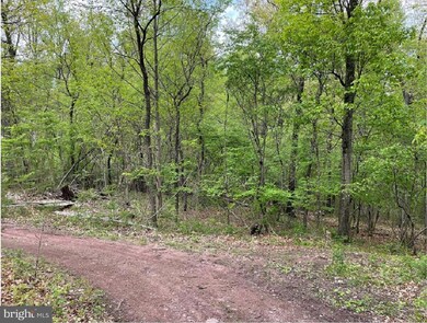 0 Sweitzer Rd unit PABK2026312, Mohnton, PA 17540 - photo 4