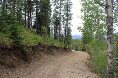 Driveway Heading Out