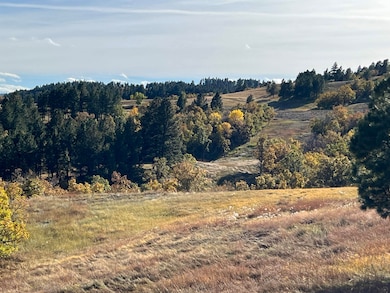 Lot 34 Prairie View Rd unit Dakota Highland Esta, Whitewood, SD 57793 - photo 5