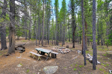 2221 Kootchie Rd, Alma, CO 80420 - photo 4