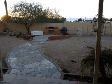 back yard