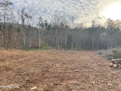 1.50 Acres Robbies Ln, Decatur, TN 37322 - photo 2