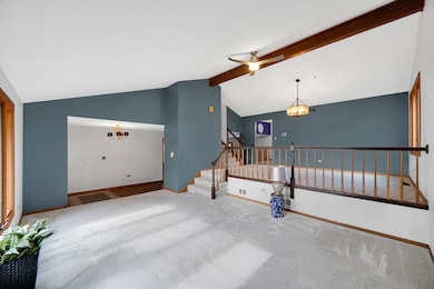 13226 Farm View St, Homer Glen, IL 60491 - photo 5