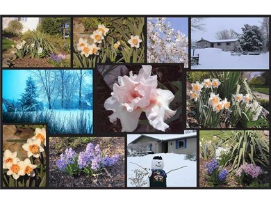Yard/Garden. Here is a Sampling of Different Seaso