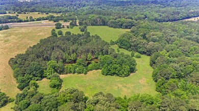 20046 Us Hwy 69s, Alto, TX 75925 - photo 3