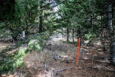 Lot 37 Sun Ranch W, Cameron, MT 59720 - photo 3