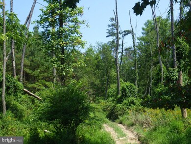 3269 Black Oak Rd, Warfordsburg, PA 17267 - photo 3