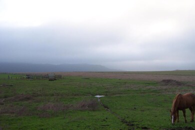 dcp_1086.jpg