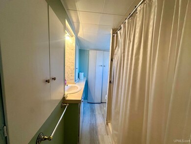 404 S 15th St, Escanaba, MI 49829 - photo 7