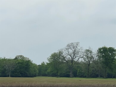 TBD Vzcr 4702, Ben Wheeler, TX 75754 - photo 3