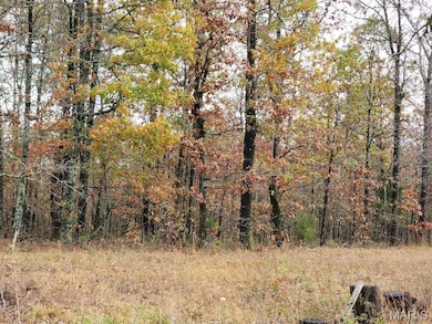 0 Carter Route 266 unit MAR24069627, Grandin, MO 63943 - photo 2