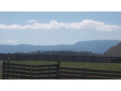 View of the mountains