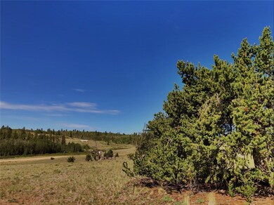 1369 Remington Rd, Como, CO 80432 - photo 3