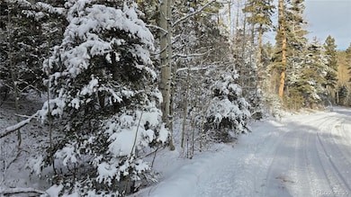 Lot 5540 Joy Rd, Fort Garland, CO 81133 - photo 5