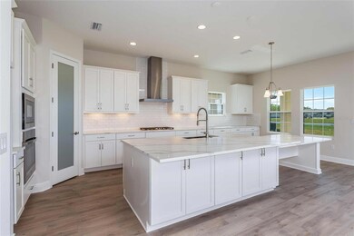 11232 Rustic Timber Loop, Zephyrhills, FL 33545 - photo 5