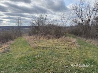 15750 Bryson Rd, Millfield, OH 45761 - photo 4