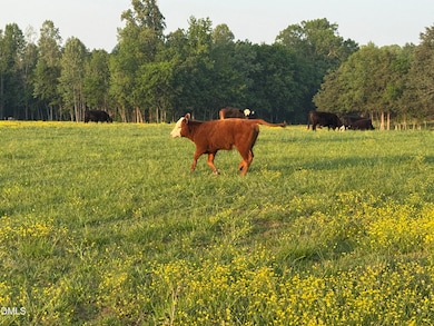 11.5 Acres Olin Rd, Cedar Grove, NC 27231 - photo 2