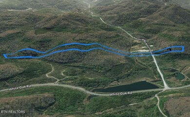 2719 Westbourne Rd, Duff, TN 37729 - photo 5