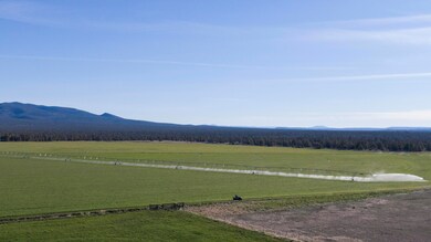 Horsell_Drone_6
