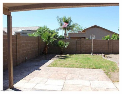 Backyard 3