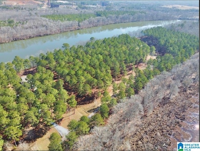 650 & 651 Liberty Shores Blvd unit Lot 9C, Vincent, AL 35178 - photo 5