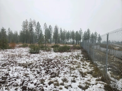 NNA N Sylvan Ln, Athol, ID 83801 - photo 3