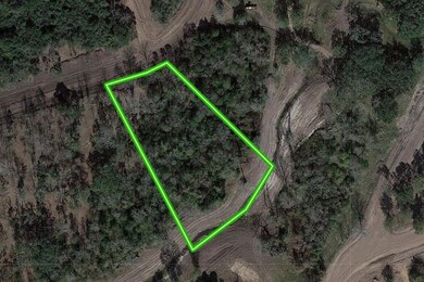 2803 Chinaberry Lane 92, Alvin, TX 77511 - photo 2