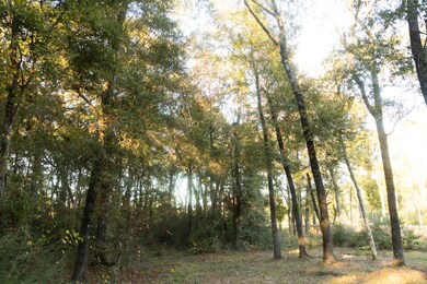 276 Squirrel Rd, Defuniak Springs, FL 32433 - photo 2