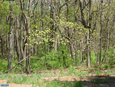 3 Birch Ln, Pilesgrove, NJ 08098 - photo 4