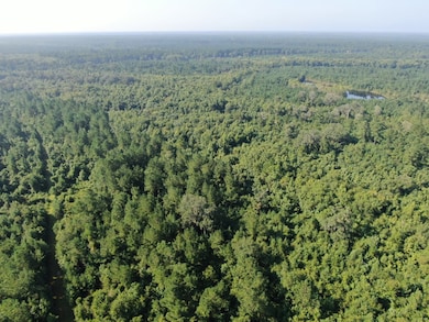 00 Hwy #32 Hwy #99 Tract 2, Brunswick, GA 31523 - photo 4