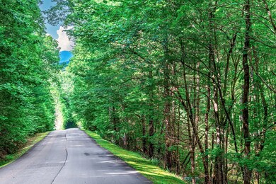 Lot 13 Shady Pine Trail, Ellijay, GA 30540 - photo 7