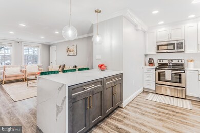 4506 36th St S unit B2, Arlington, VA 22206 - photo 6