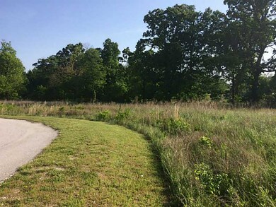 13539 Meadow Ridge, Fayetteville, AR 72704 - photo 3