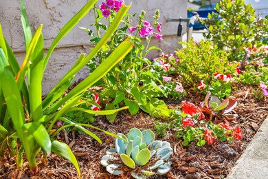 Beautiful Landscaping