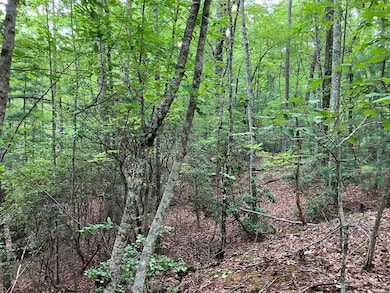 Lot 41 Floris Mountain Rd, Murphy, NC 28906 - photo 4