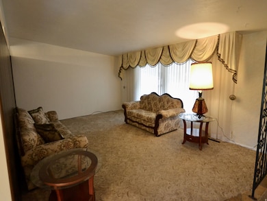 Living room featuring carpet floors