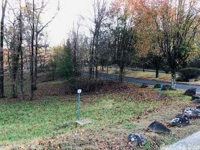 0 Lake Forest Shores, Hot Springs, AR 71913 - photo 4