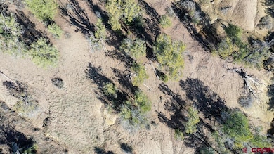 TBD Green Shadows Rd, Durango, CO 81303 - photo 6